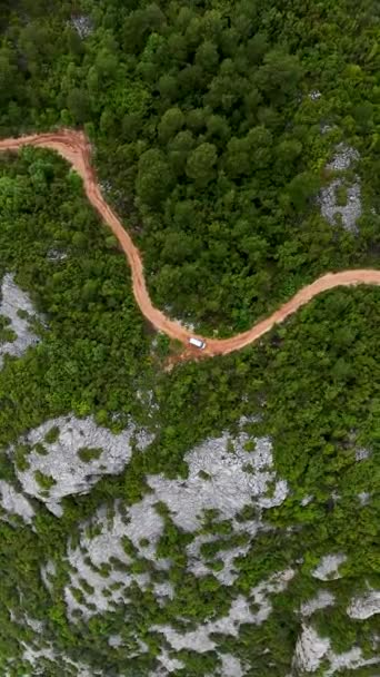 Büyülü Yağmurla Yıkanmış Bir Ormanın Sinematik Güzelliğinin Tadını Çıkarın Büyüleyici — Stok video