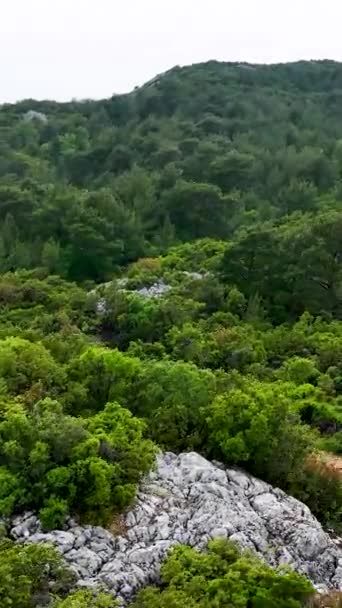 Büyüleyici Dikey Videoda Hava Manzarasından Yağan Yağmurdan Sonra Sakin Yeşil — Stok video