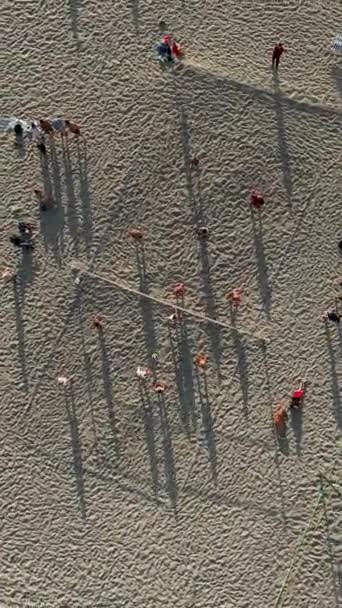 Ponořte Letní Zábavy Pobřeží Tímto Leteckým Záběrem Plážového Volejbalu Vertikálním — Stock video