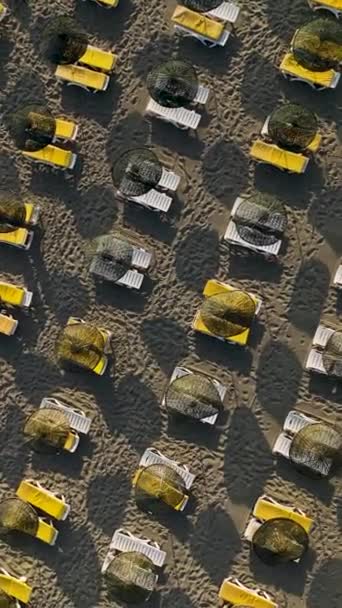 Відчуйте Красу Прибережної Втечі Цьому Вертикальному Відео Видом Пляжні Парасольки — стокове відео