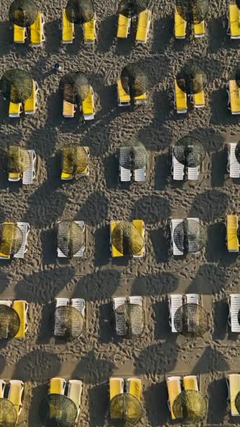 Discover Serenity Shore Bird Eye View Beach Loungers Umbrellas Vertical — стоковое видео
