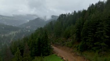 Unutulmaz bir sürüşün özünü yakalayın. İnsansız hava aracı, Mars 'a benzeyen büyüleyici bir arka planda yer alan dağ yolundaki gezginlerin sinematik görüntülerini yakalar..