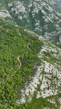 Türkiye 'nin Alanya kentinin güzel orman manzarasına yukarıdan baktığınızda sükuneti deneyimleyin.
