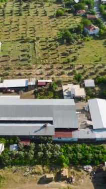 Halı üretiminin sanatını araştırın, kurutma ve renk canlandırma tekniklerini ortaya çıkarın..