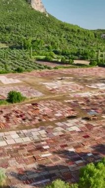 Fabrika daha kuru ve parlak renklere odaklanırken, kuşların halıya bakış açısının tadını çıkarın..