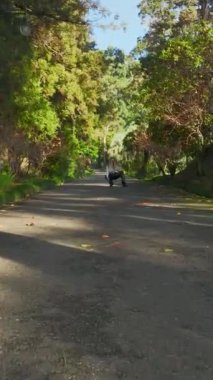 Batumi 'nin sonbahar zarafetini yansıtan havadan bir fotoğraf çek. Parkta manken gibi yürüyen kızlarla..