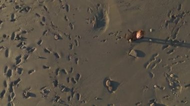 Fırtınalı gök mavisi dalgalar içeri dalarken ve etkileyici 4K hava görüntülerinde sergilenirken altın saatin içine dalın..