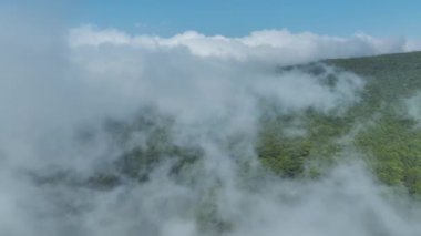 Bulutlarla kaplı dağların, yeşil ormanların ve geniş açık alanların manzarasının tadını çıkarın..