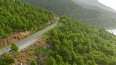 Etrafı ormanlarla çevrili bir nehrin akan sularına bakın, 4K 'da yakalanmış..