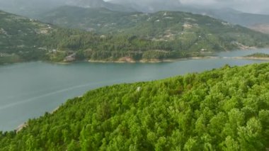 Büyüleyici 4K hava görüntüleri yoğun bir ormanın içinden geçen büyüleyici bir nehrin görüntüsü. Huzurlu ve büyülü sahne.