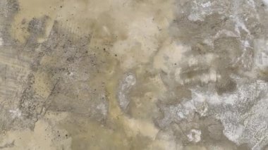 İnşaatçılar olarak tanık takım çalışması planlar, demirleri bükmek ve yeni bir yapının temellerini izole etmek..