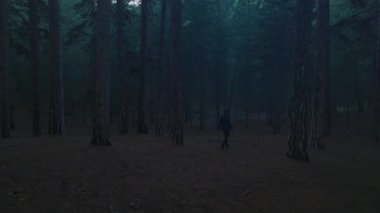 4K hava sahasında ele geçirilen gölgeli, mistik ormanı keşfeden siyahlı bir adamla Gotik bir yolculuğa çık..