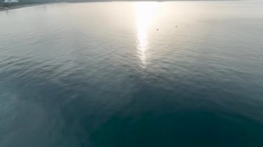 Huzurlu ve hareketsiz deniz yüzeyini seyret güneş şafak vakti ufkun üzerinden yükselirken..