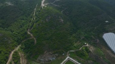 Gökyüzünden doğal çevreyi keşfeden, yukarıdan geniş orman ve göl manzarasına bakın..