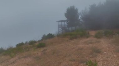 Bulutlarla, yeşil ormanlarla ve geniş açık alanlarla çarpıcı dağ manzarasını izleyin..