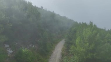 Etrafı bulutlarla çevrili dağlara ve ormanlara bakın..