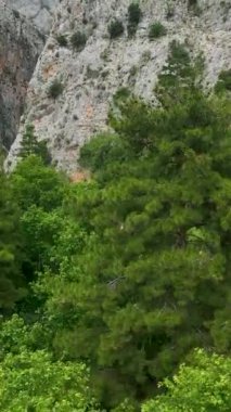 Yeşil Kanyon 'un doğal harikalar diyarına dalın, heybetli dağ zirveleri ve soğuk bir nehirle sarılmış, dikey biçimde..