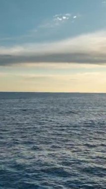 Bu dikey video gösterisiyle bir dron denizi sorunsuzca süzülürken sakin bir hava yolculuğuna çıkın..