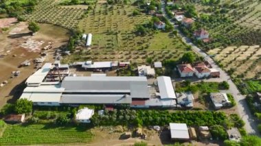 Duyularınızı, insansız hava araçlarının el yapımı halıların görüntüsüyle büyüleyin. Uçsuz bucaksız tarlaların çarpıcı renklerini gösterin..