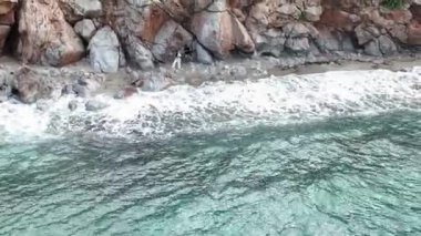 Issız bir kıyı şeridindeki aile serüvenine katılın. Onların samimi anları yukarıdan güzel 4K ile detaylandırılmıştır..