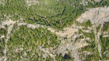 Bir modelle dağlara kaçmak orman yollarında yürümek, temiz dağ havasının tadını çıkarmak..