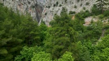 Yoğun ormanlarla çevrili Sapadere Kanyonu 'nun görkemli güzelliğini keşfedin..