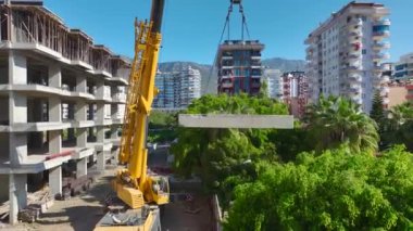 Canlı ve canlı bir manzara..