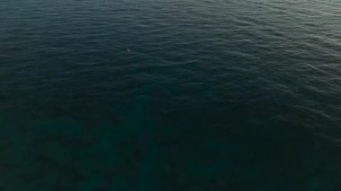 Dalgalanan dalgalar denizin güzelliğini gösteriyor.