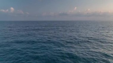 Sihirli bir sahil gezisi.