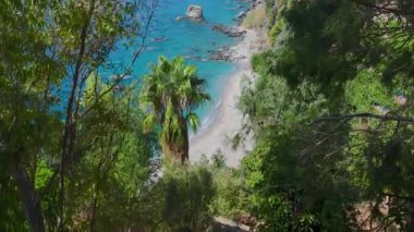 İnsanların güneşlendiği, yüzdüğü ve cennette kürek çektiği huzurlu bir sahil..