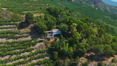 İnsanlar kristal berrak suları olan güzel bir sahilde kürek çeker, yüzer ve dinlenir..