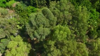 Okyanusun panoramik manzaralı, ilk sahil şeridinde bulunan lüks bir yerleşim yeri..