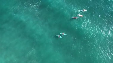 İnsanlar açık sularda kürek çekiyor, gece için kamp kurmak için vahşi bir plaja varıyorlar..