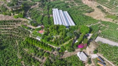 Arkadaşların güzel yemeklerden ve yeşil çevrenin güzelliğinden hoşlandığı neşeli bir bahçe pikniği..