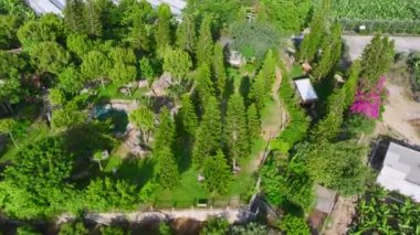 Arkadaşların yemekle ve doğanın güzelliğiyle kutladıkları yeşil bir bahçede neşeli bir piknik..