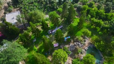 Arkadaşlar yemyeşil doğa ve lezzetli yiyeceklerle çevrili yemyeşil bir bahçede pikniğin tadını çıkarıyorlar..