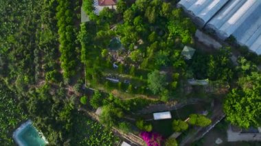 Arkadaşların güzel yemeklerden ve doğanın huzurlu ortamından hoşlandığı bereketli bir bahçede şenlikli bir piknik..