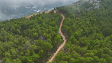 Bulutlar, yüksek dağlarda yuva yapmış gizemli bir ormanı sisli ve mistik bir atmosfer yaratıyor..
