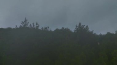 Bulutlar yüksek dağ zirvelerini kaplıyor, aşağıdaki karanlık ormanın üzerine gölgeler düşüyor..