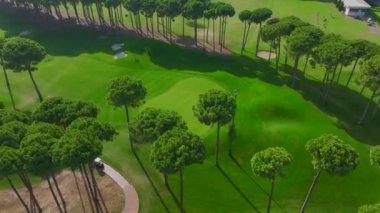 Şık ve dinamik bir spor sahnesi..