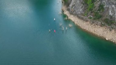 Vahşi doğaya çarpıcı bir yolculuk.