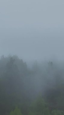 Doğanın güzelliğini sisli gökyüzü ve yemyeşil.