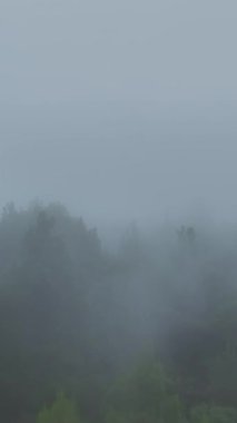 Bulutların hareketli ormanın üzerinde huzur içinde sürüklenişini izle..