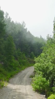Yüksek dağ manzarasının güzelliğine sakin bir kaçışa tanık olun..