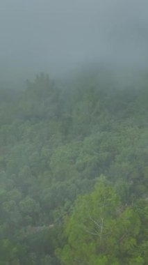 Zirvelerdeki doğanın uyumunu keşfet..