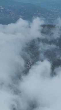 Vahşi doğanın güzelliğinde huzurlu bir an..