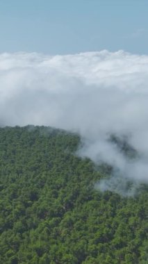 Yüksek dağ manzaralarının dingin güzelliğini keşfedin.