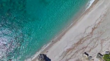 Kürek çeken ve berrak suları olan bir plajda yüzen insanları izle, güneşin tadını çıkar..