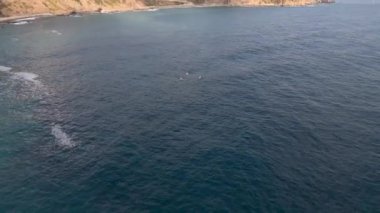 Maceracılar açık denizde vahşi bir plaja doğru kürek çekerler. Yıldızların altında bir gece için kamp kurarlar..