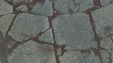 Taş tapınaklar, yollar ve kalıntılar antik bir şehrin arkeolojik kazısından sonra ortaya çıktı..
